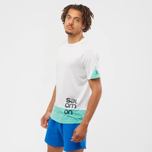 White / Turquoise Salomon Cross Run Graphic Short Sleeve Men's T-Shirts | IE NP9375